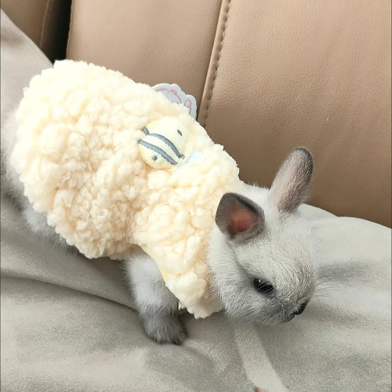 Winter Clothing Newborn - Winter warme konijnen trui voor kleine