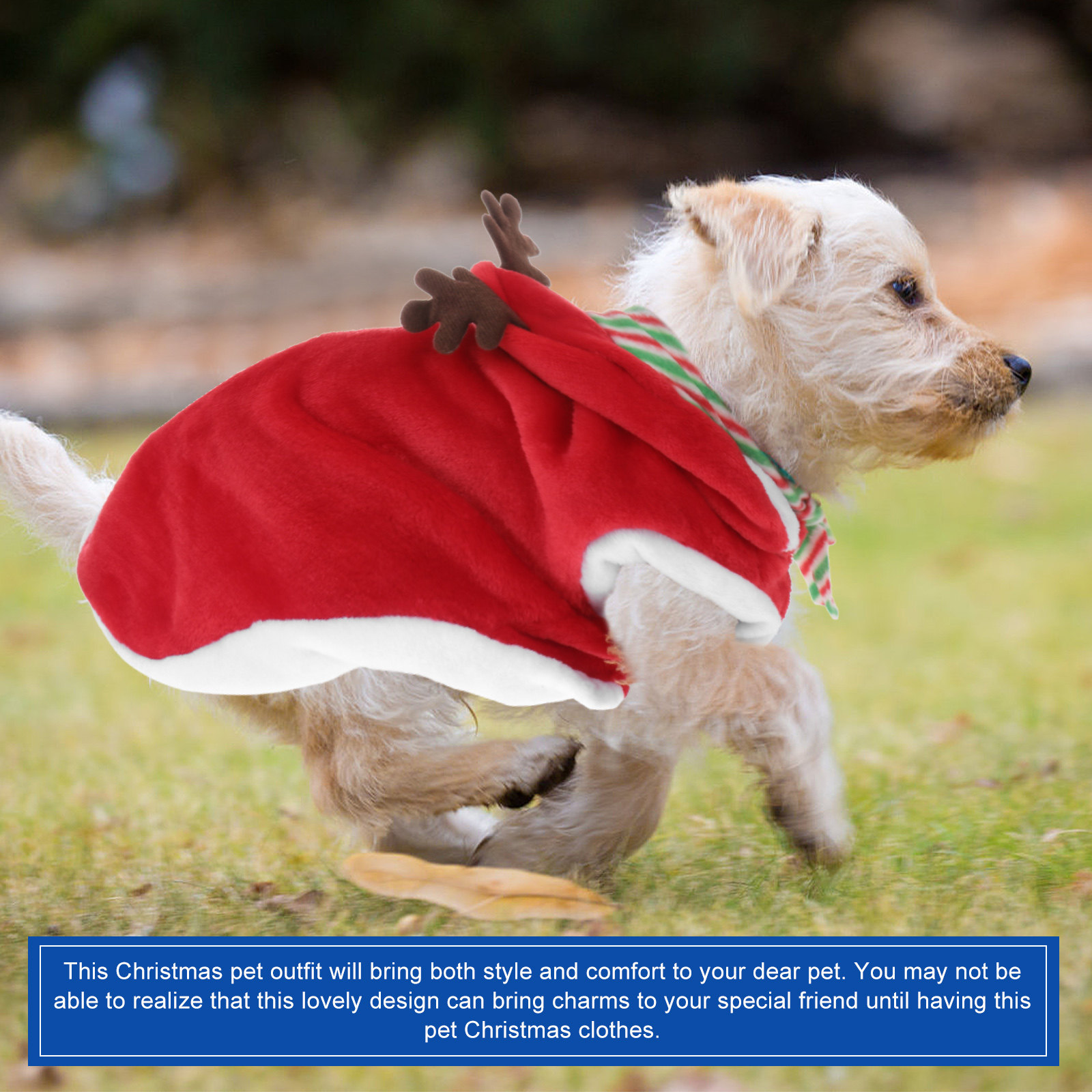 1 set kerstkleding voor huisdi - Winter Clothing Activity recensie en prijs